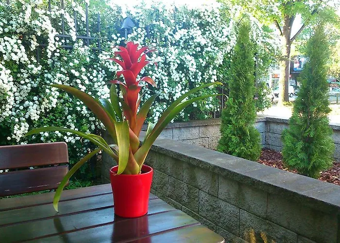 Frühstückspension Lido