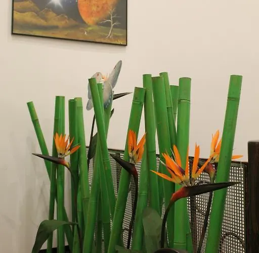 Bed & Breakfast Lido Gdańsk