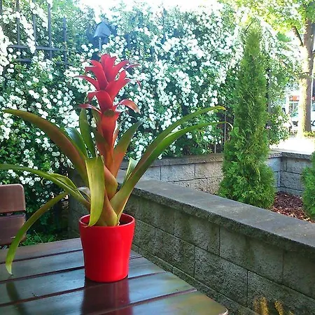 Bed and Breakfast Lido